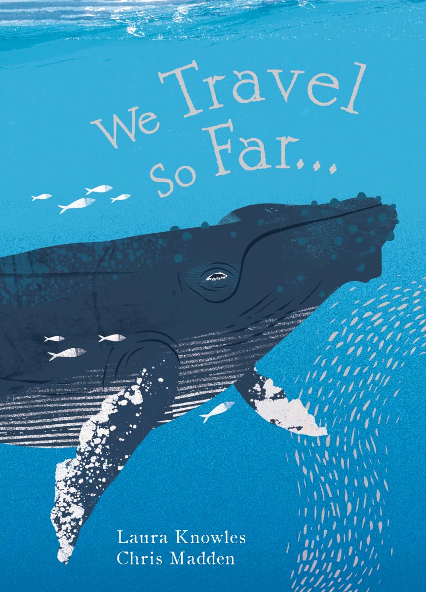 We Travel So Far,Used