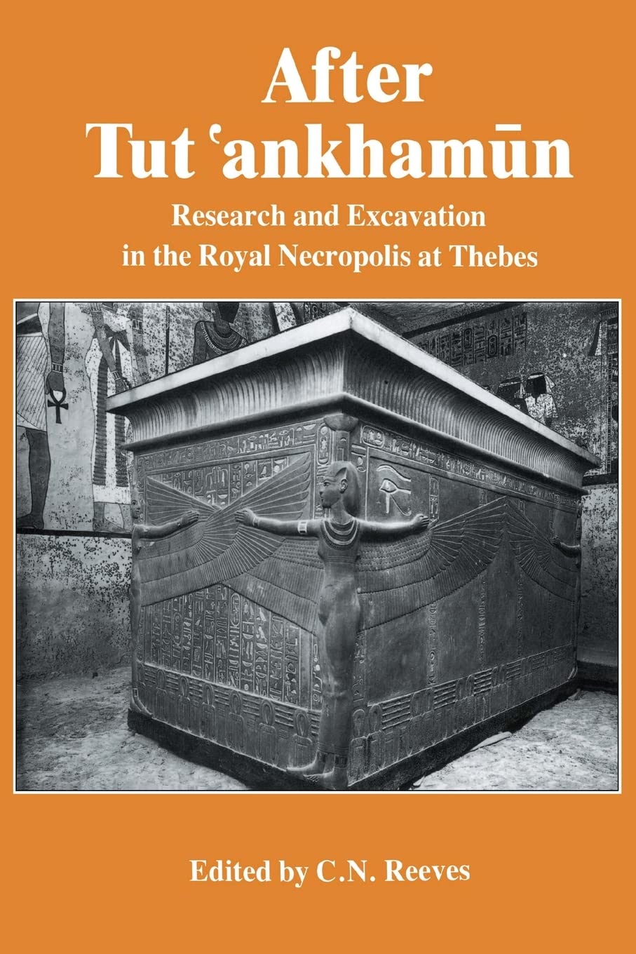 After Tut'ankhamun,Used