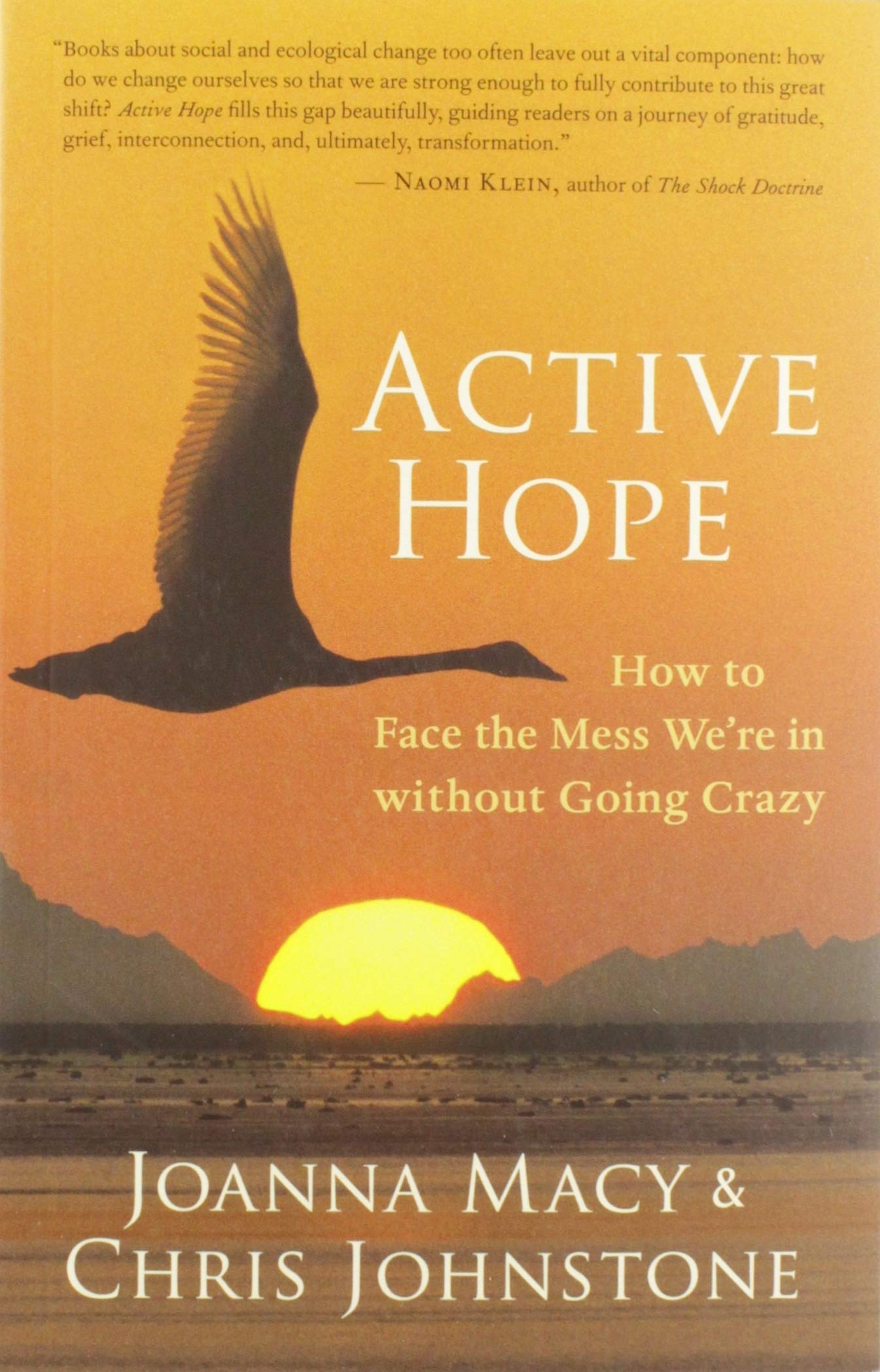 Active Hope: How to Face the Mess We're in without Going Crazy,Used