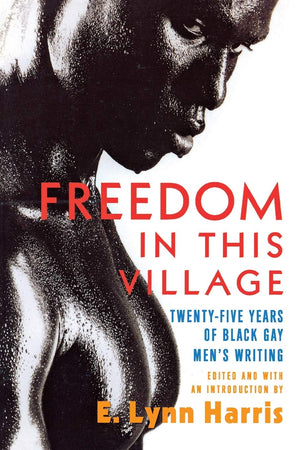 Freedom In This Village: Twentyfive Years Of Black Gay Men'S Writing
