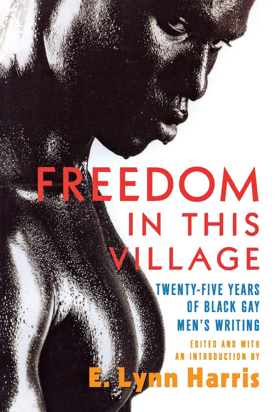 Freedom In This Village: Twentyfive Years Of Black Gay Men'S Writing