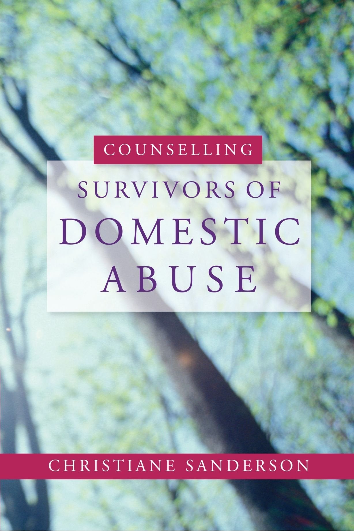 Counselling Survivors of Domestic Abuse,Used