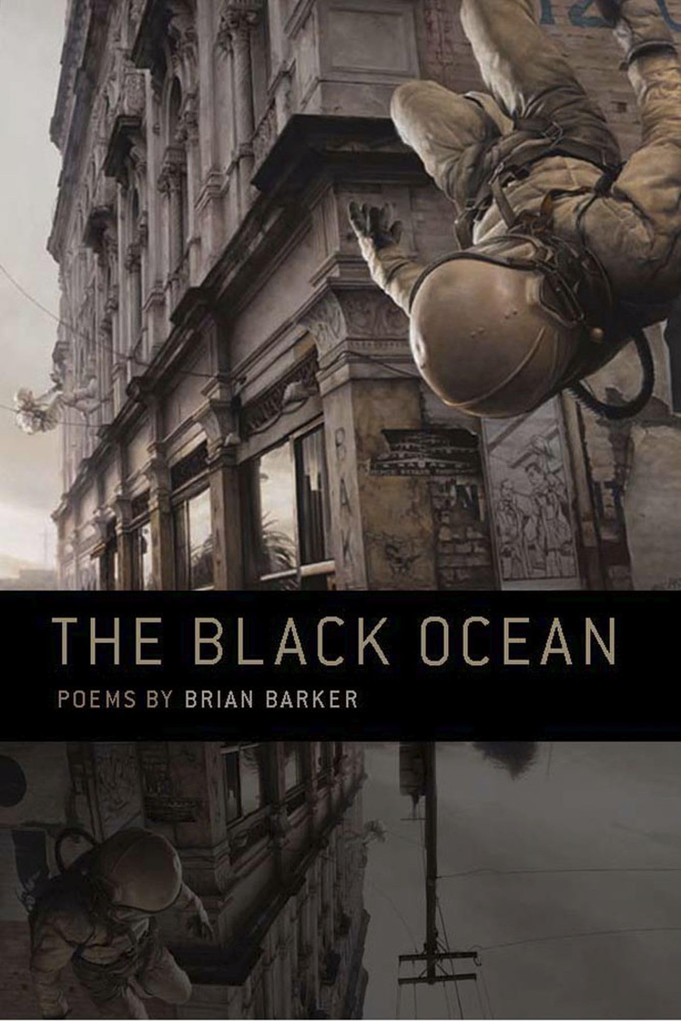 The Black Ocean (Crab Orchard Series In Poetry),Used