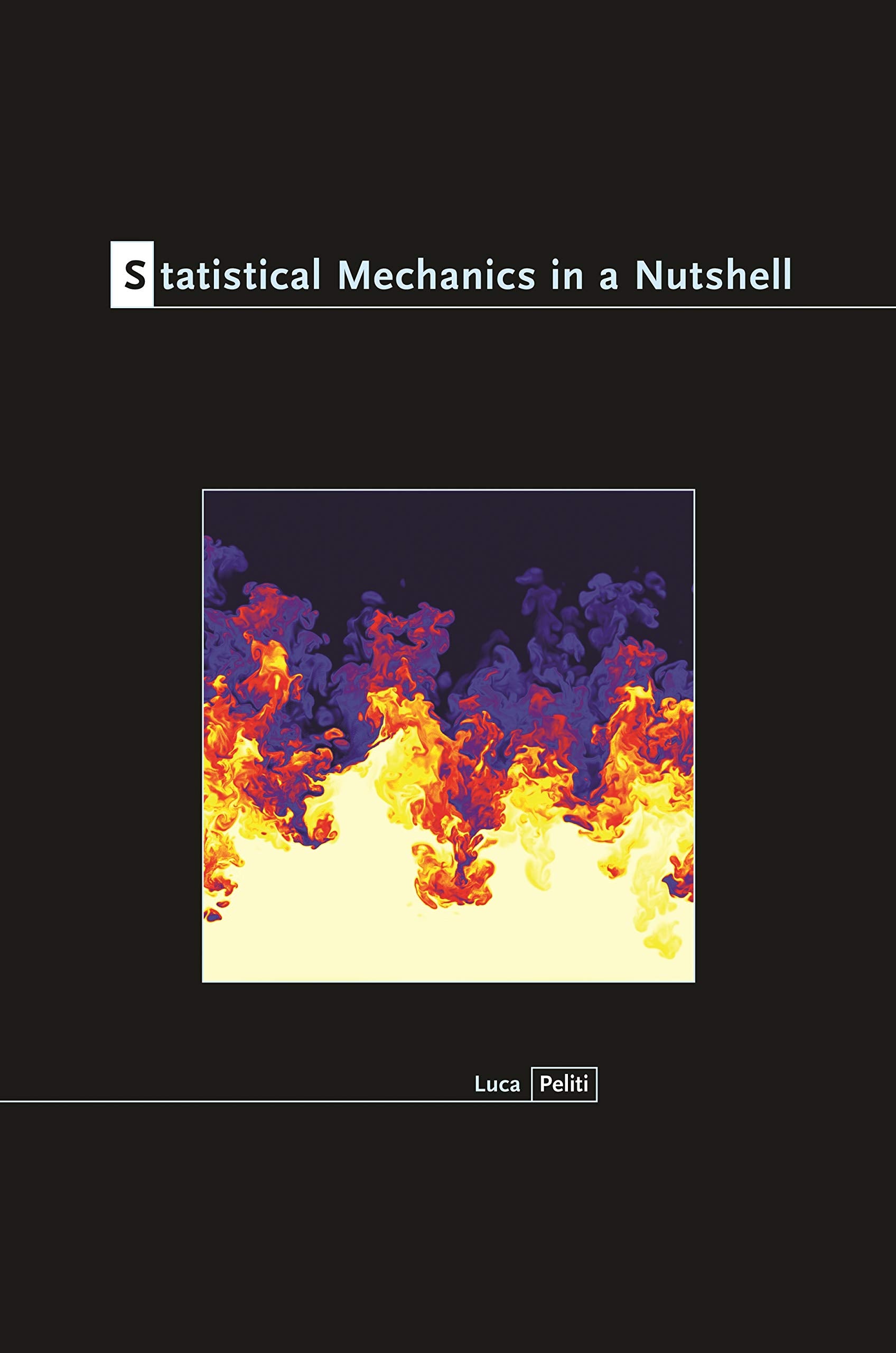 Statistical Mechanics In A Nutshell (In A Nutshell, 10),Used