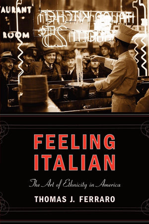 Feeling Italian: The Art Of Ethnicity In America (Nation Of Nations, 18),Used