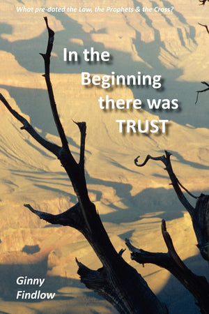 In The Beginning There Was Trust,Used