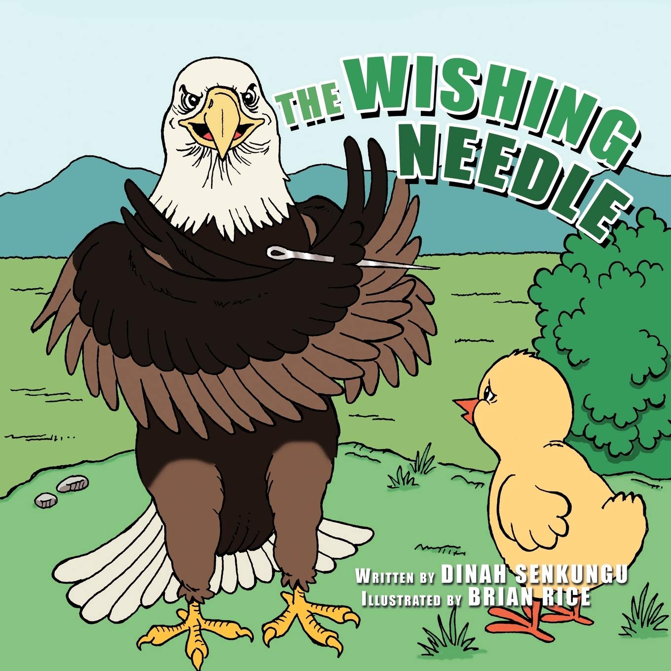 The Wishing Needle,Used