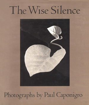The wise silence: Photographs,Used