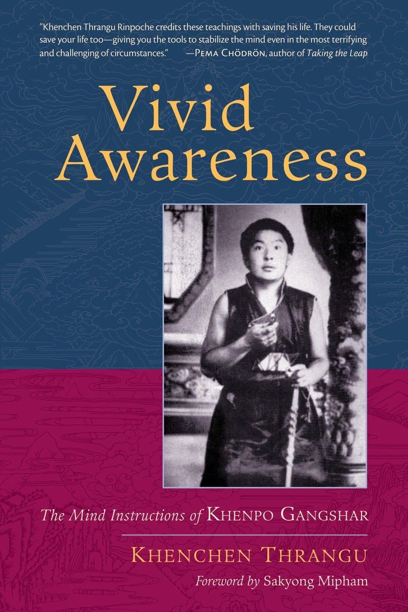 Vivid Awareness: The Mind Instructions Of Khenpo Gangshar,Used