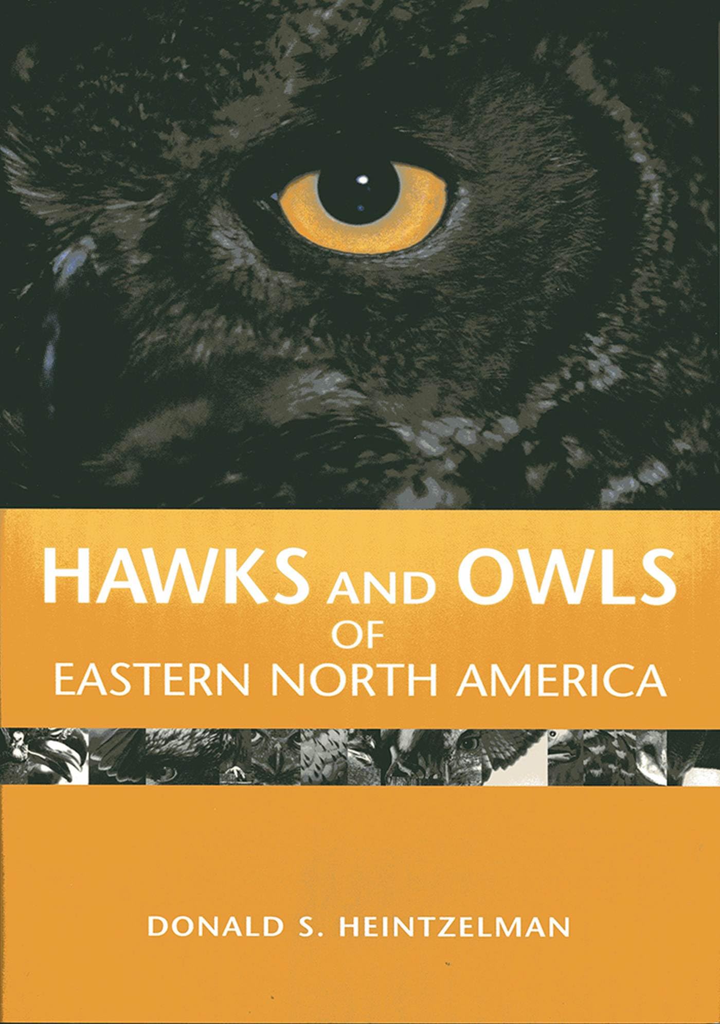 Hawks And Owls Of Eastern North America,Used
