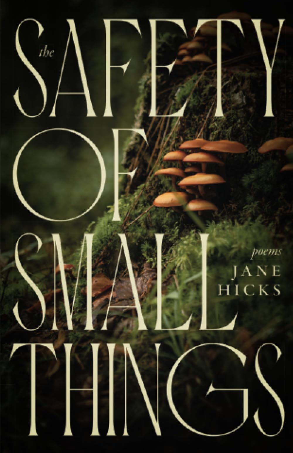 The Safety Of Small Things: Poems,Used