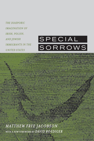 Special Sorrows: The Diasporic Imagination of Irish, Polish, and Jewish Immigrants in the United States,Used