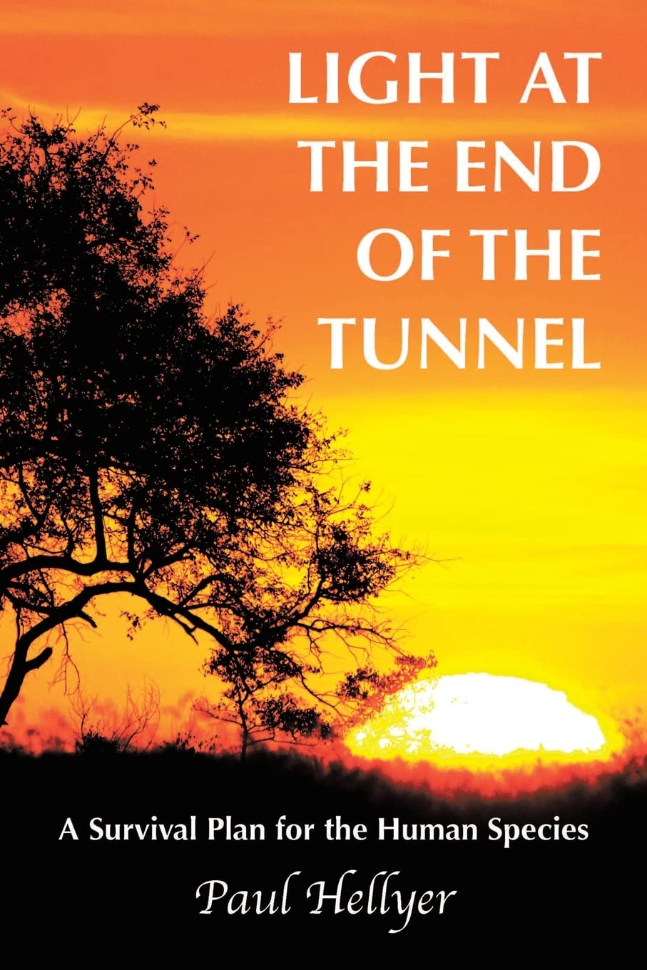 Light at the End of the Tunnel: A Survival Plan for the Human Species,Used