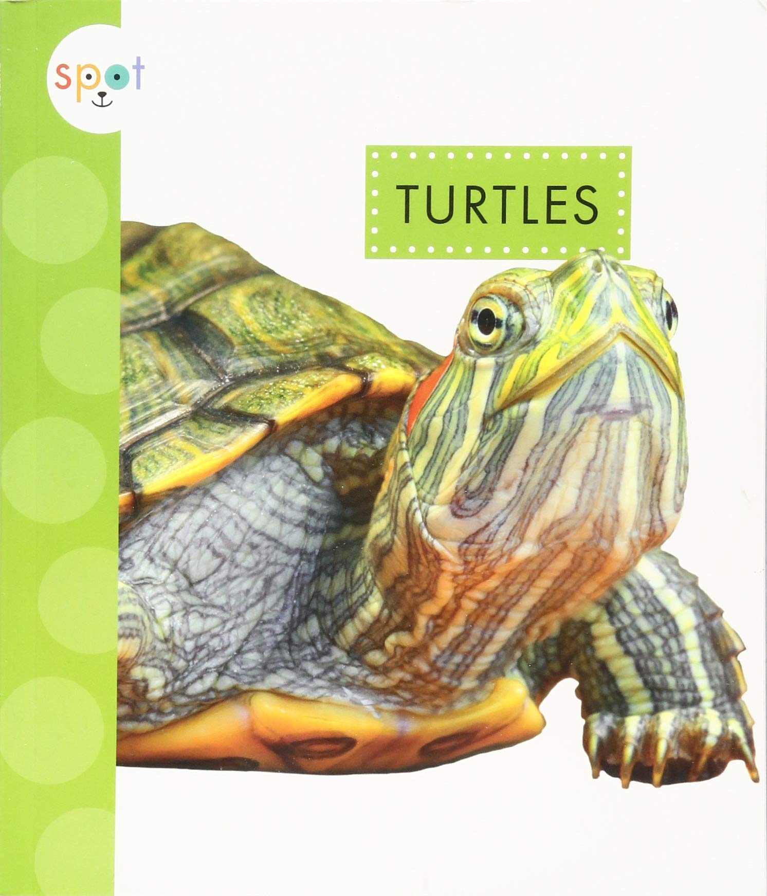 Turtles (Spot Pets)