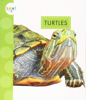 Turtles (Spot Pets)