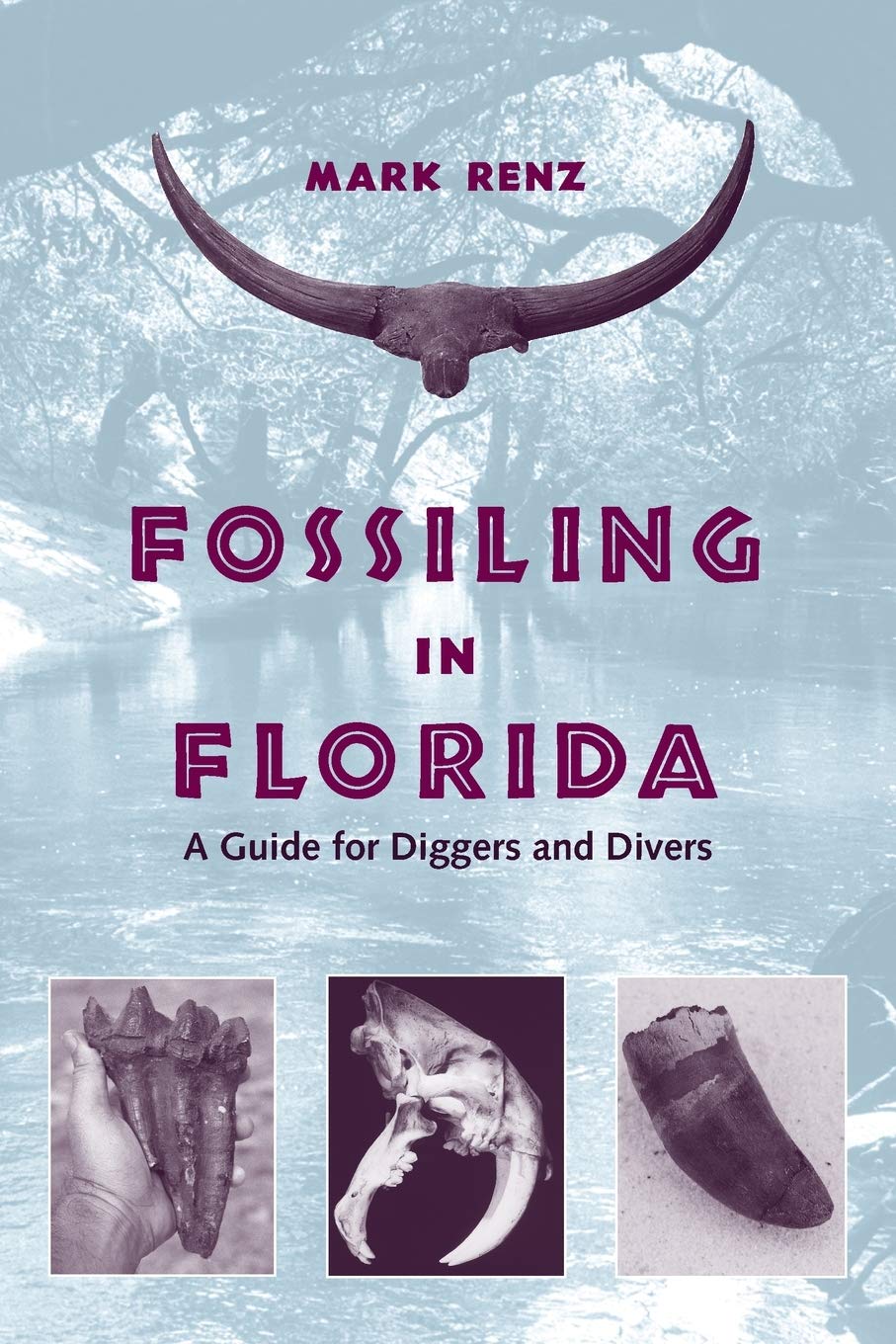 Fossiling In Florida: A Guide For Diggers And Divers,Used