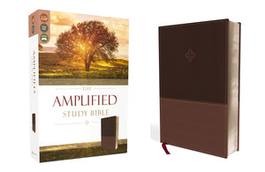 The Amplified Study Bible, Leathersoft, Brown [Large Print]-used