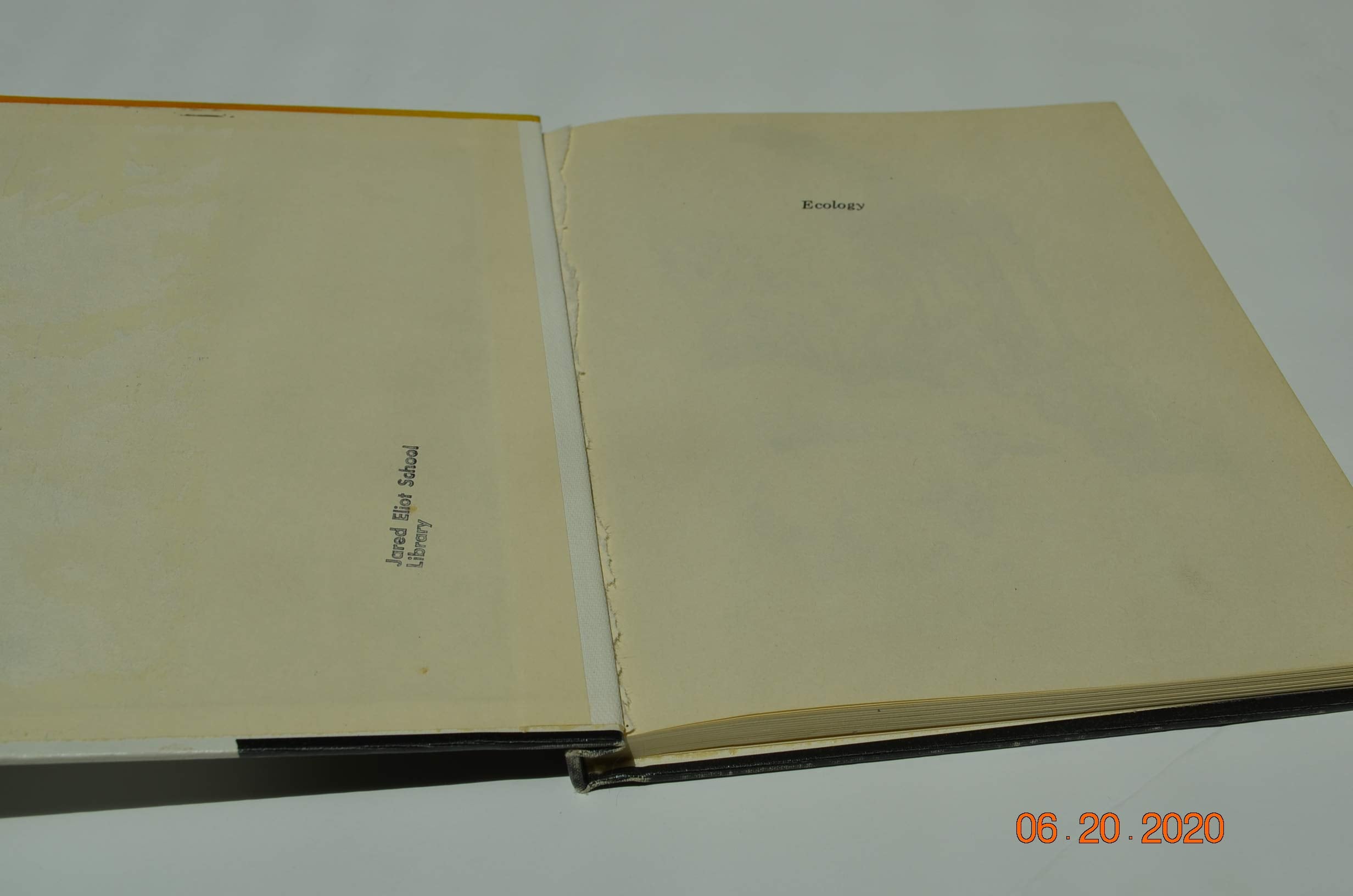 Ecology (A First book),Used
