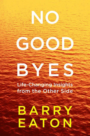 No Goodbyes: LifeChanging Insights from the Other Side,Used