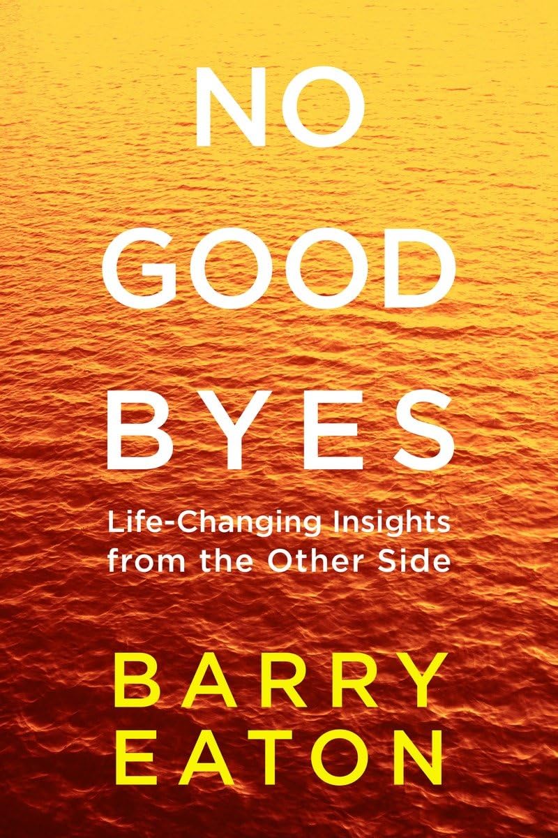 No Goodbyes: LifeChanging Insights from the Other Side,Used