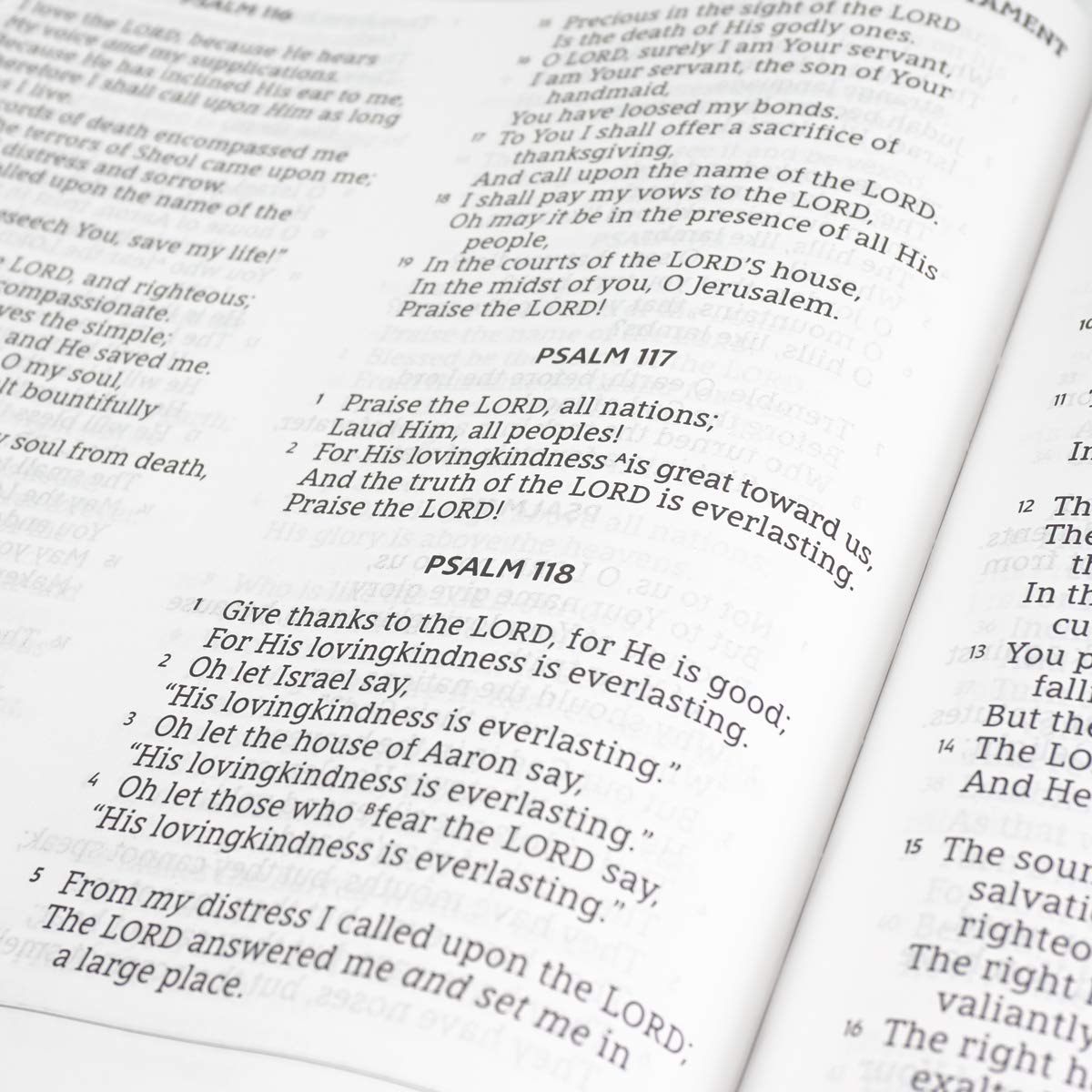 NASB, Holy Bible, XL Edition, Leathersoft, Brown, 1995 Text, Comfort Print,New