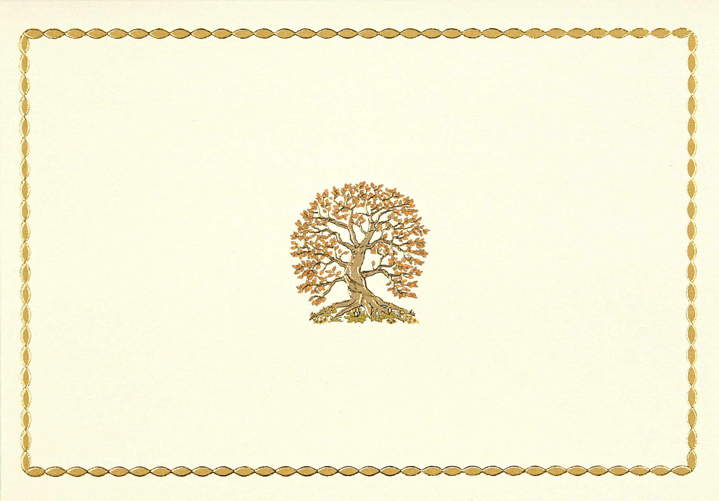 Tree of Life Note Cards (Stationery) (Note Card Series),Used