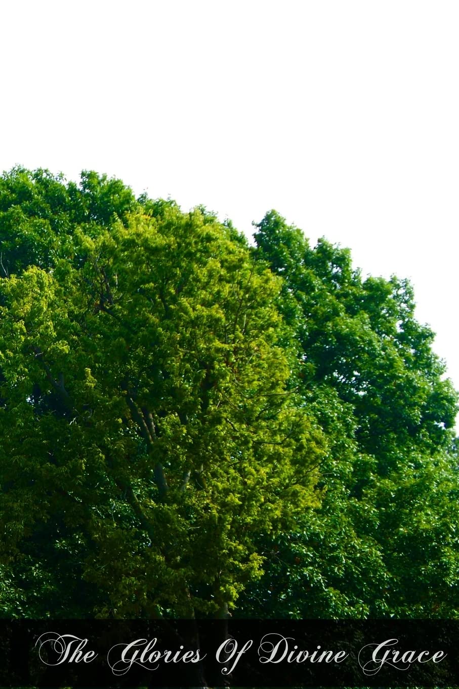 The Glories Of Divine Grace,Used