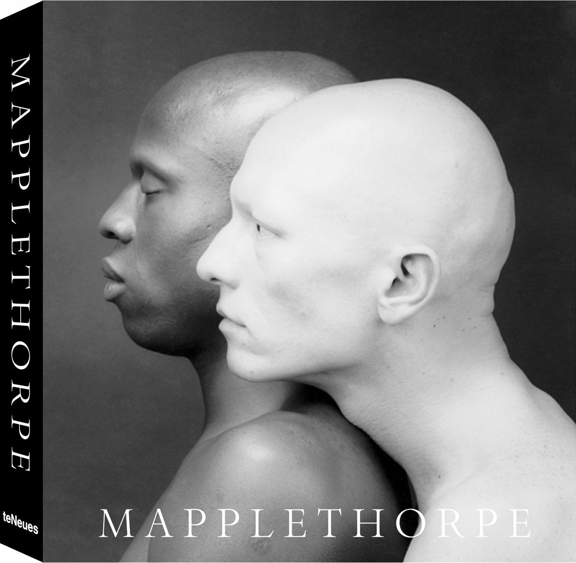Mapplethorpe,Used