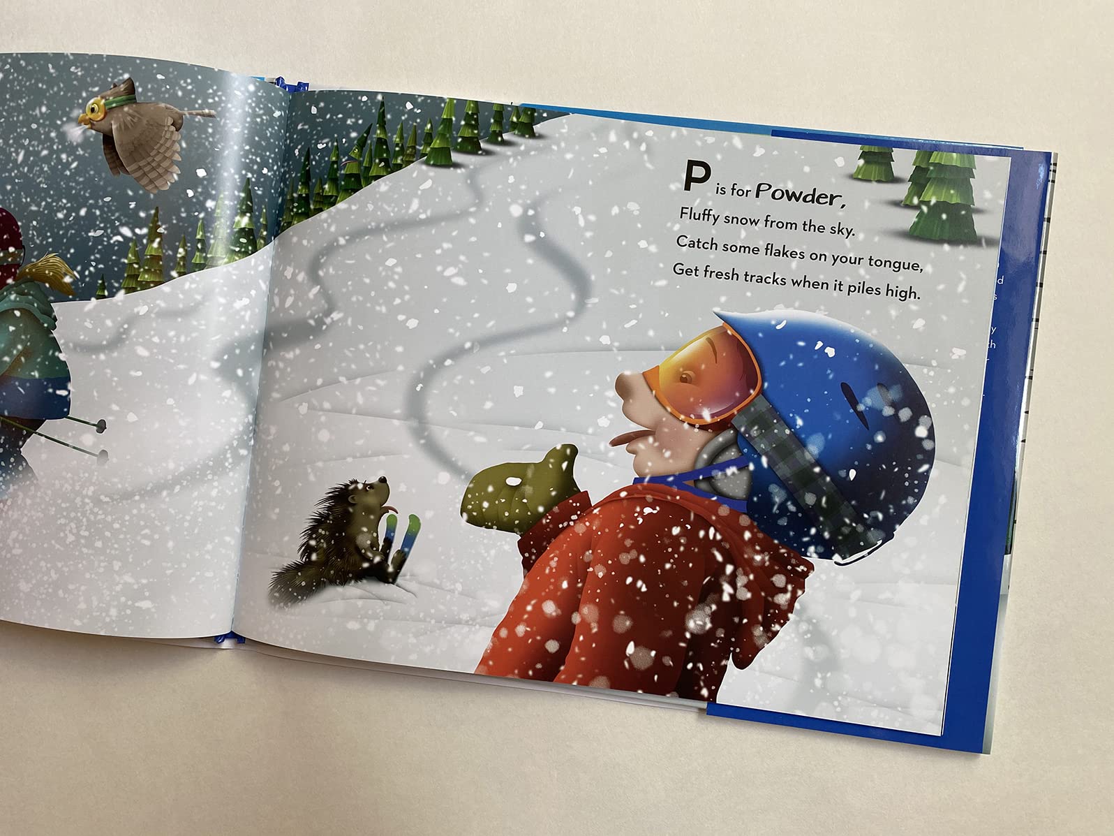ABSkis: An alphabet book about the magical world of skiing,Used