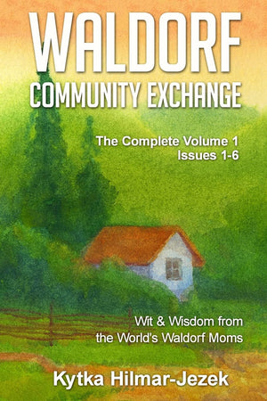 Waldorf Community Exchange: Wit & Wisdom Of The World'S Waldorf Moms,Used