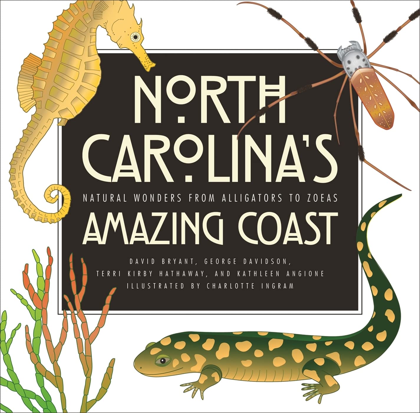 North Carolina's Amazing Coast: Natural Wonders from Alligators to Zoeas,Used