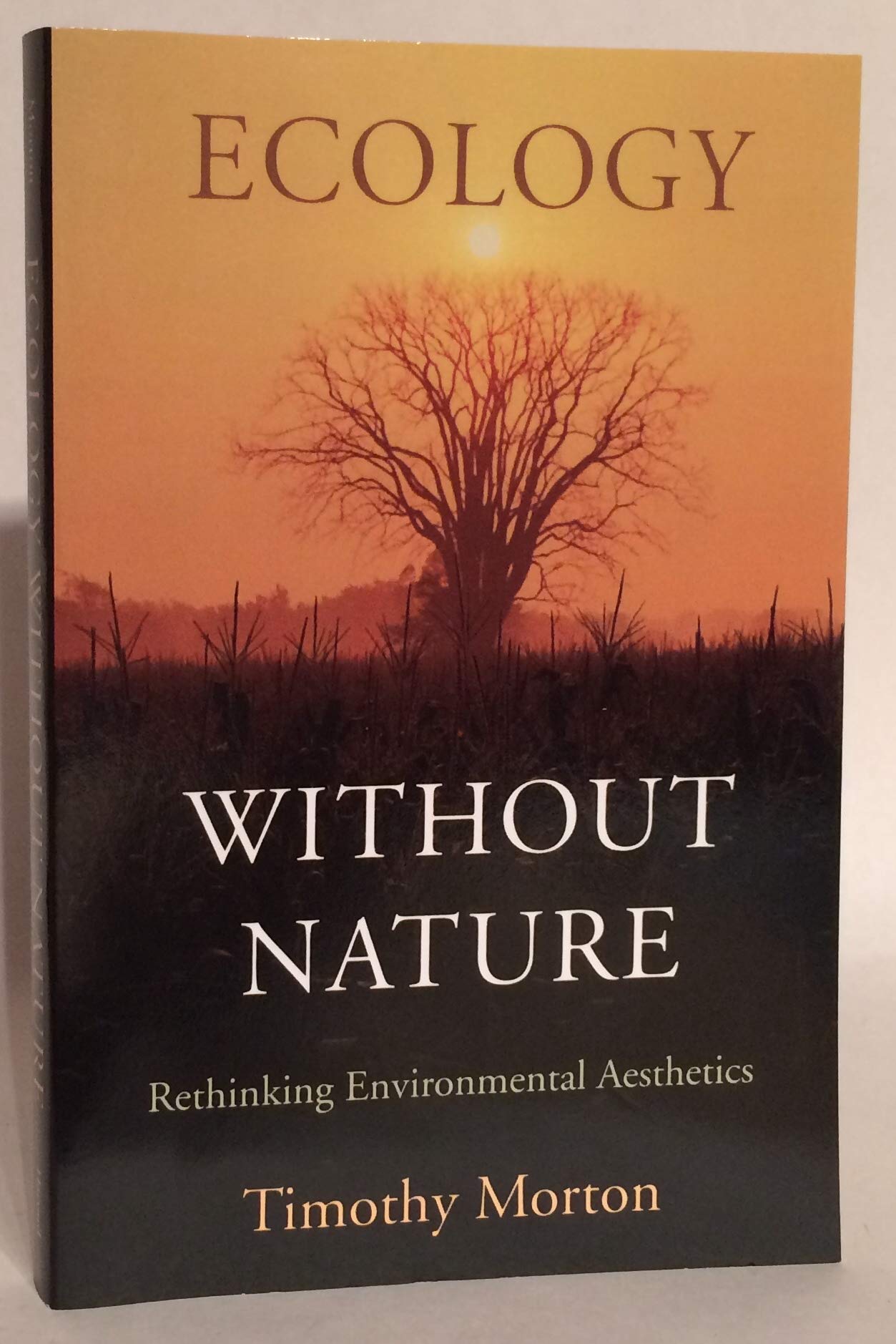 Ecology without Nature: Rethinking Environmental Aesthetics,New