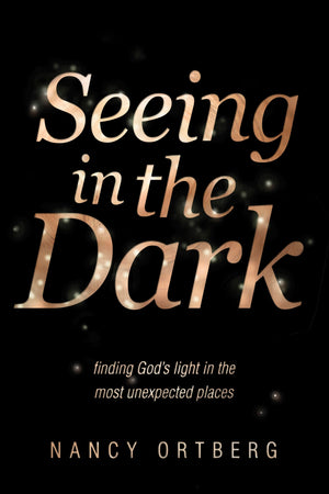 Seeing in the Dark: Finding God's Light in the Most Unexpected Places,Used