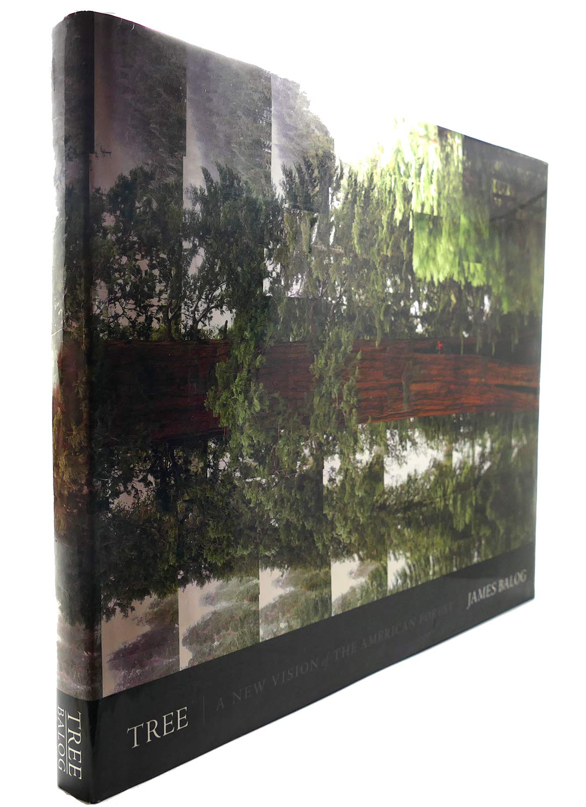 Tree: A New Vision of the American Forest,New