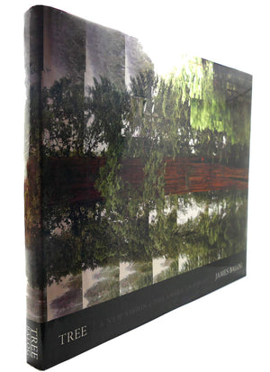 Tree: A New Vision of the American Forest,New