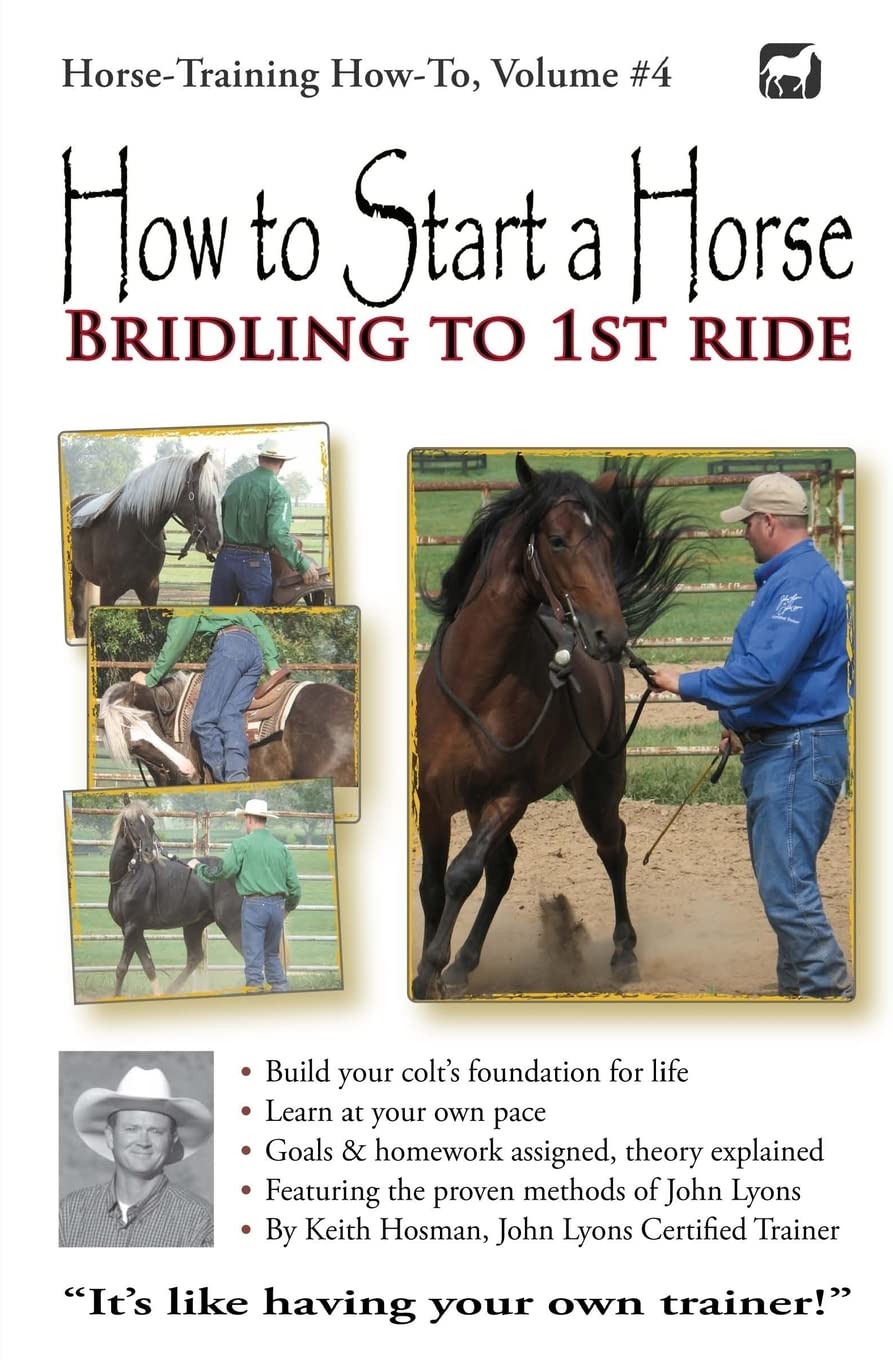 How to Start a Horse: Bridling to 1st Ride (Horse Training HowTo),Used
