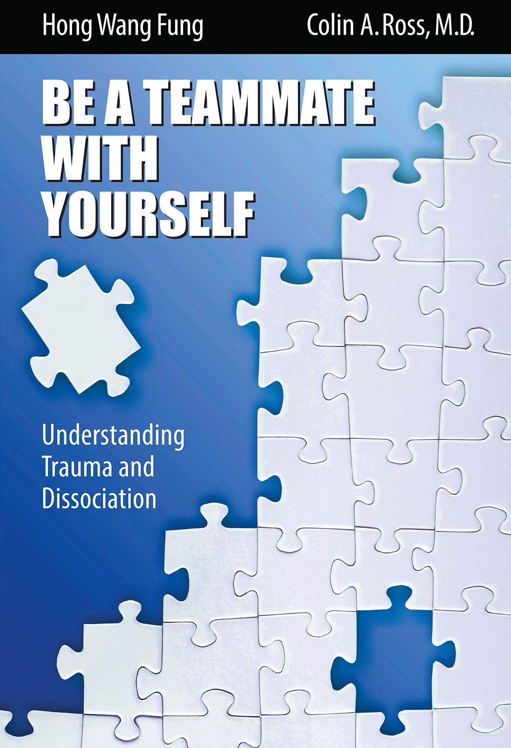 Be A Teammate With Yourself : Understanding Trauma and Dissociation,Used