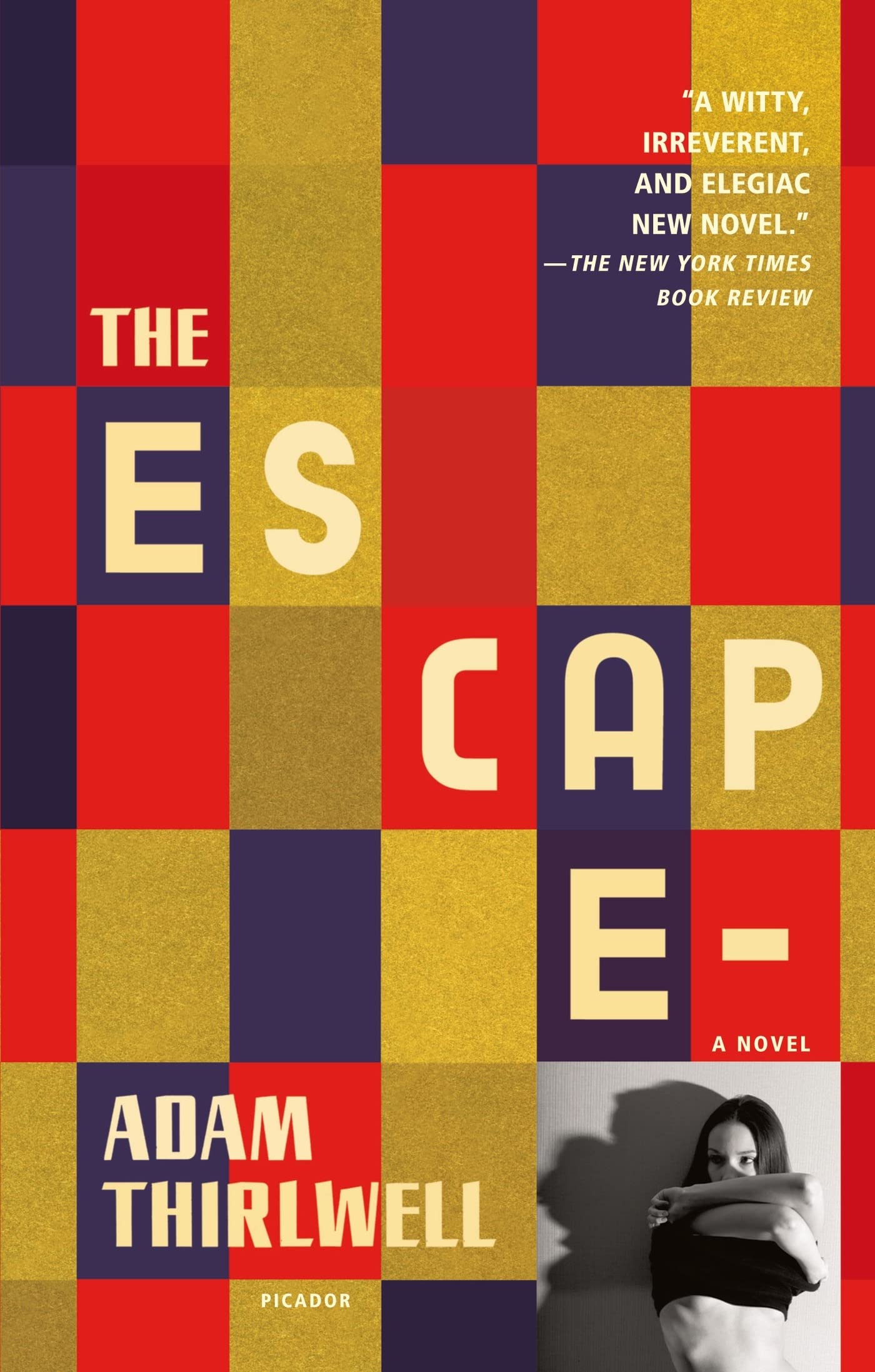 The Escape: A Novel,Used