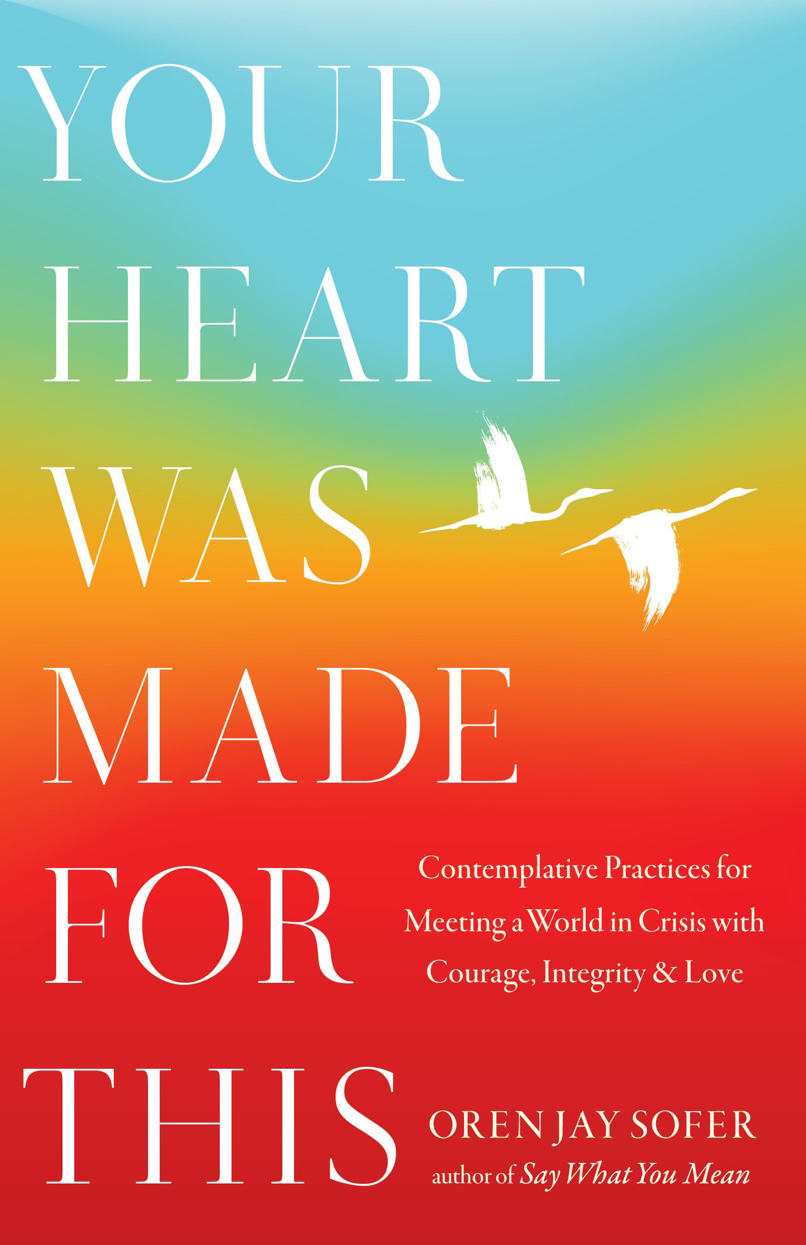 Your Heart Was Made For This: Contemplative Practices For Meeting A World In Crisis With Courage, Integrity, And Love,Used