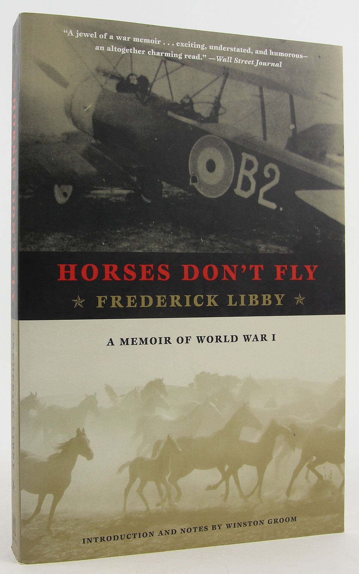 Horses Don'T Fly: A Memoir Of World War I