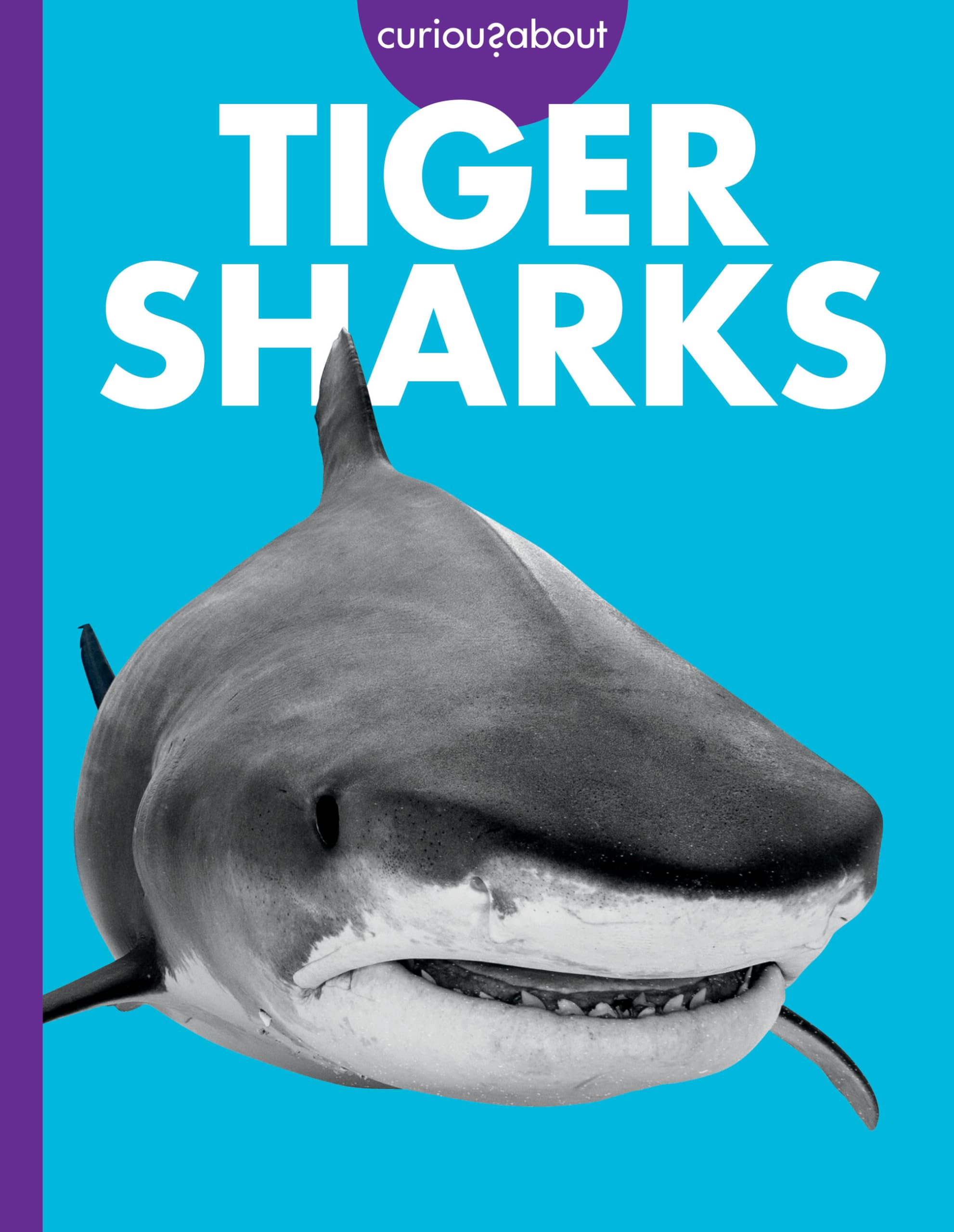 Curious About Tiger Sharks
