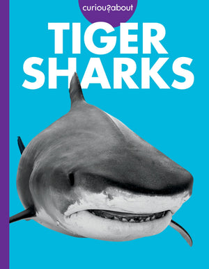 Curious About Tiger Sharks