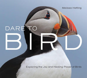 Dare to Bird: Exploring the Joy and Healing Power of Birds,New