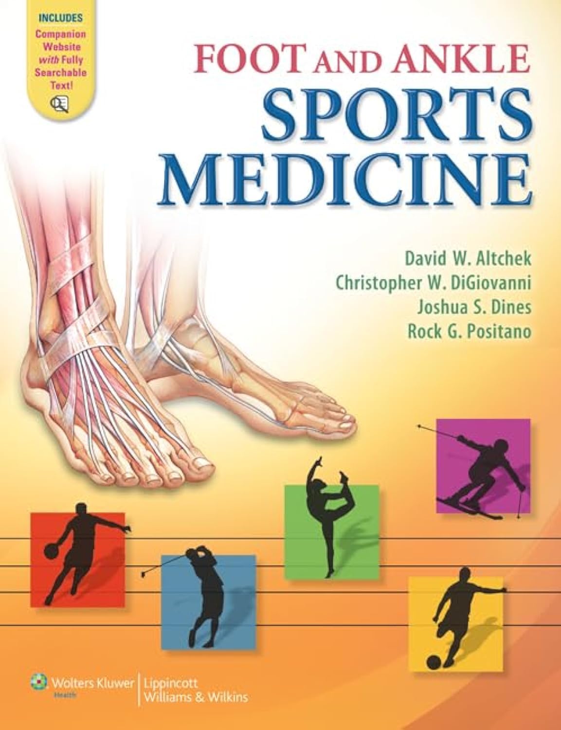 Foot and Ankle Sports Medicine,Used