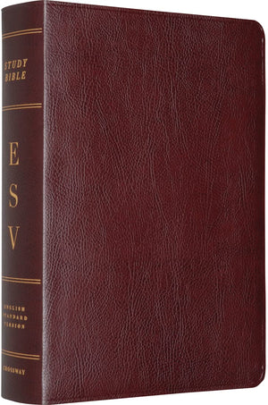 ESV Study Bible (Burgundy),Used