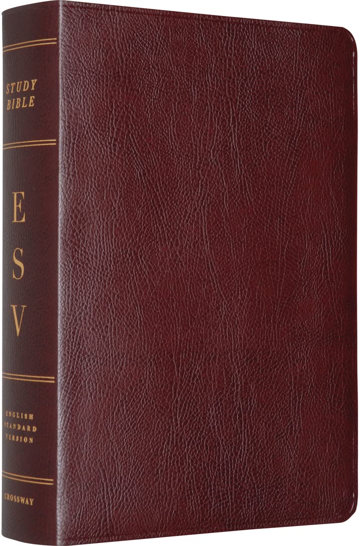 ESV Study Bible (Burgundy),Used