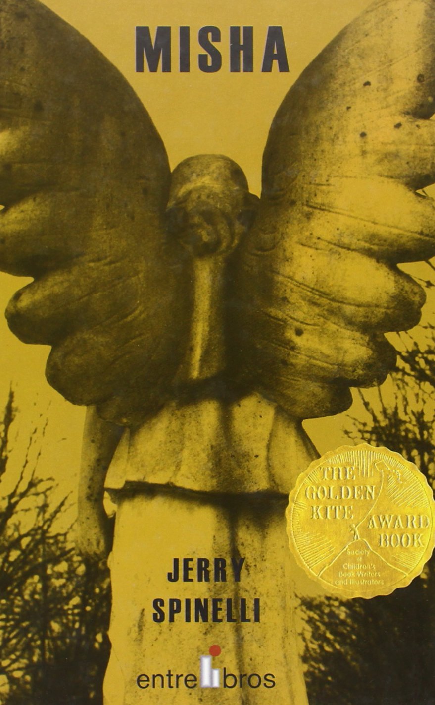 Misha (Spanish Edition),Used