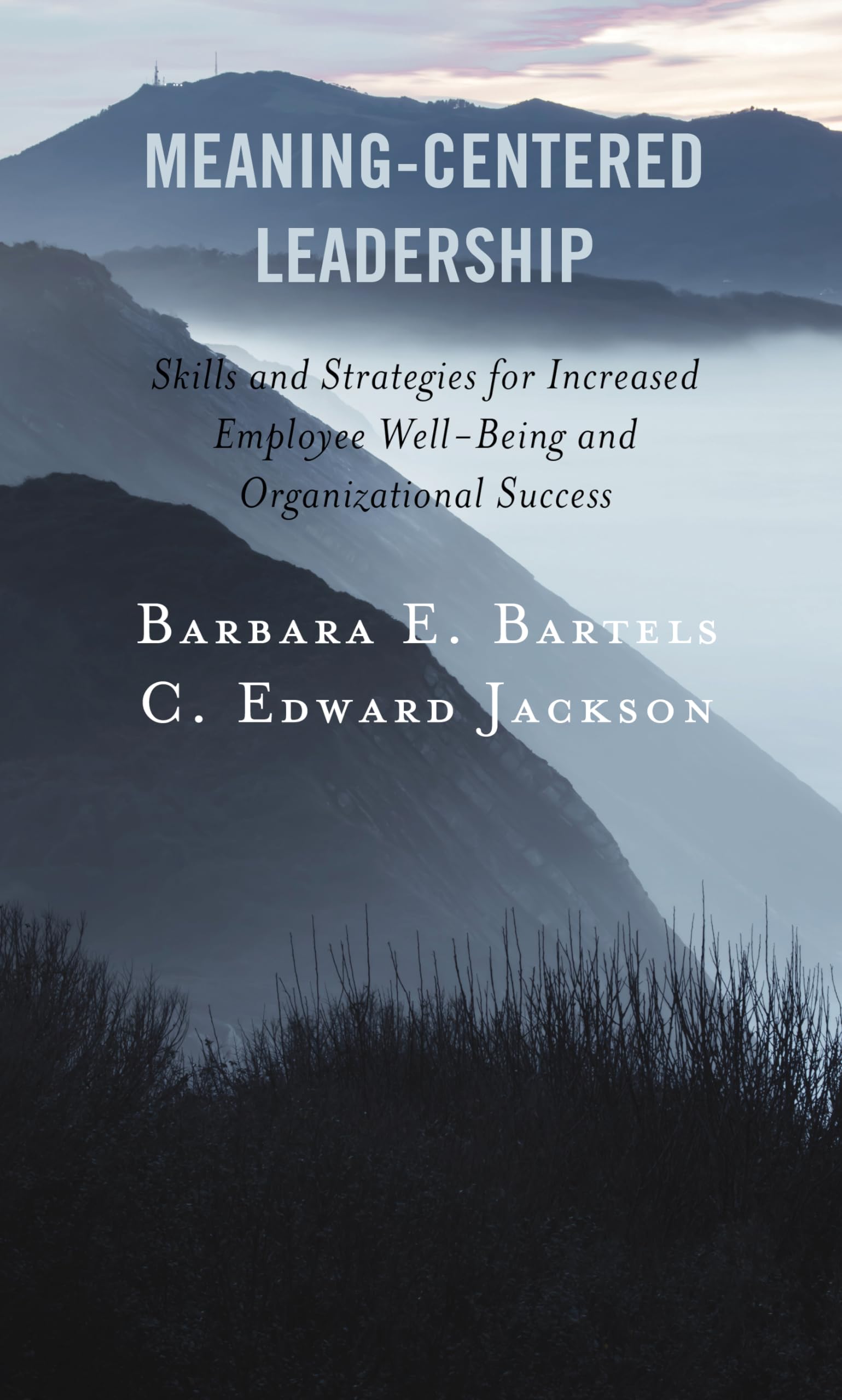 MeaningCentered Leadership: Skills and Strategies for Increased Employee WellBeing and Organizational Success,Used