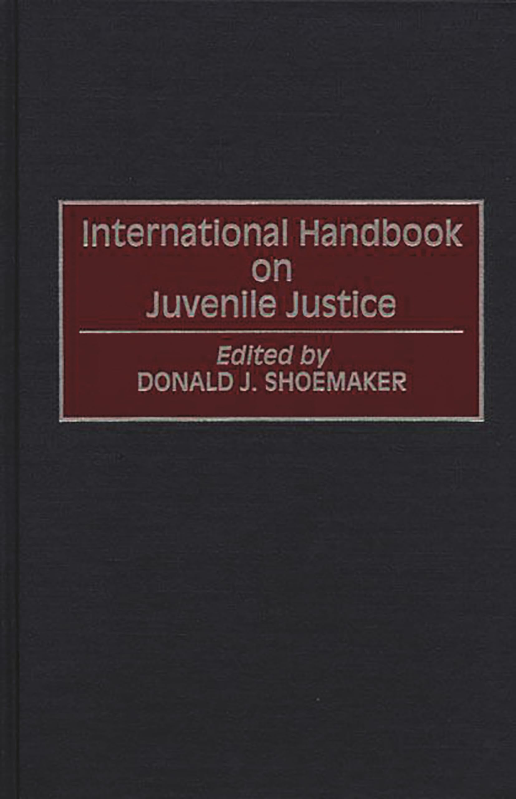 International Handbook on Juvenile Justice (Victorian Literature & Culture (Hardcover)),Used