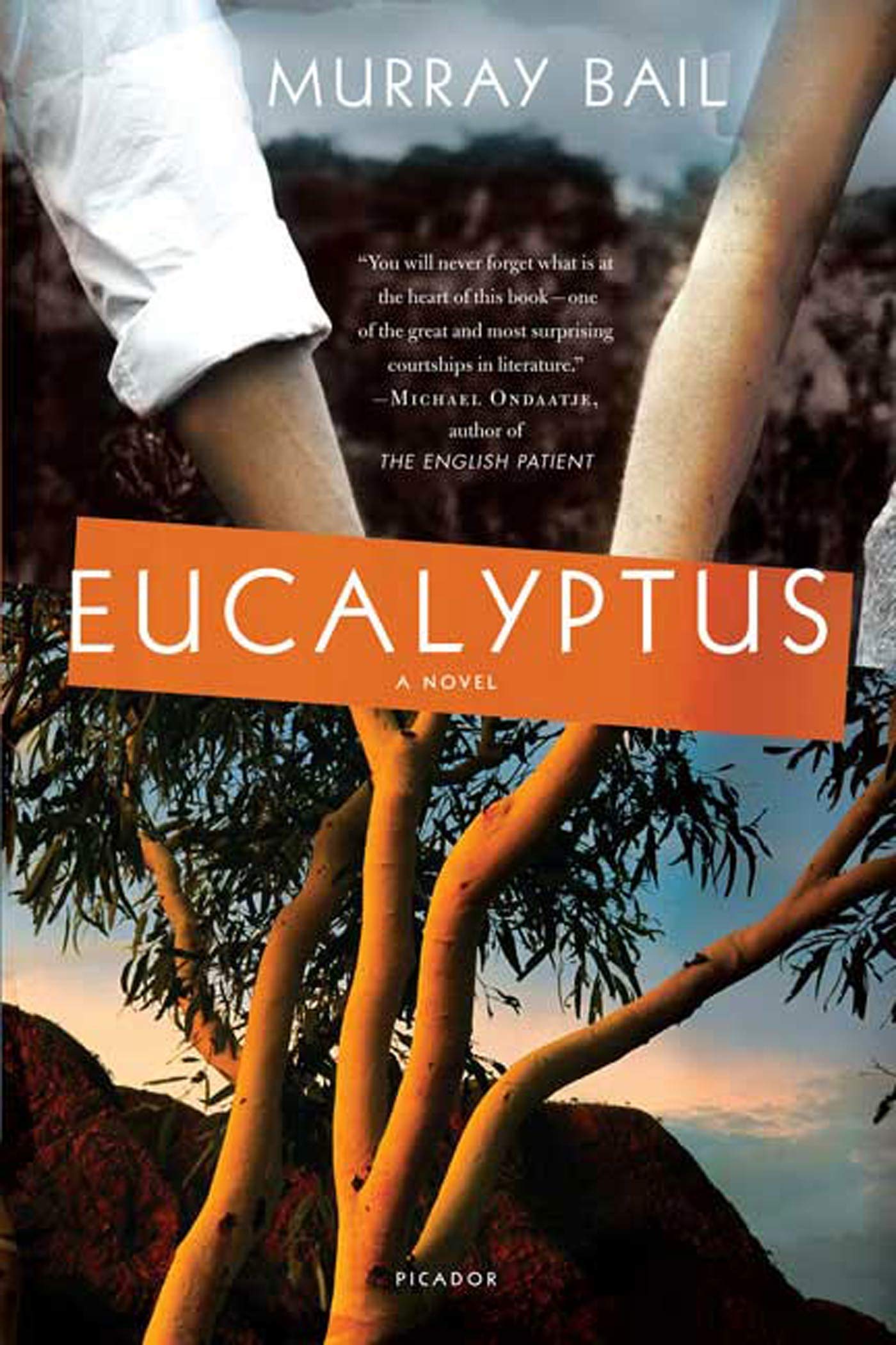Eucalyptus: A Novel,Used